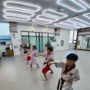 경희대 태권도장 | [지금동 태권도] 아이가 먼저 가고 싶어 하는 경희대최강태권도장 후기! ✨