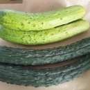 재형농장 이미지