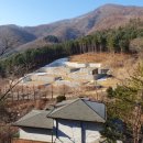 조은터부동산중개사무소 이미지