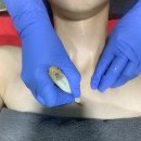 휠로스 인 채민