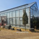 경기남부농장 | 포레스트벨ㅣ용인 아이랑 실내 가볼만한 곳, 딸기체험농장에서 동물체험까지 한꺼번에!