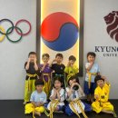 국가대표라이온태권도장