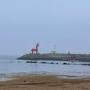 3박 4일 부모님과 제주도 여행 &lt;제주 돌고래, 도두봉, 베스트웨스턴 제주, 하귀정담&gt;
