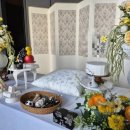 포포 스테이 이미지