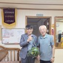 도화1동 행정복지센터 Daum카페