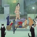 고양이의 보은 이미지