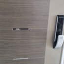 일진뜨리에 이미지