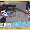 11월14일 슈퍼맨이 돌아왔다 김준호 아들 은우 vs 김정환 아들 로이 국대 아빠들의 자존심 걸린 펜싱 대결 영상 이미지