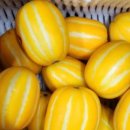 세영농장 이미지