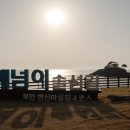 솔섬