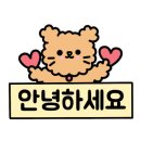 중마애견 이미지
