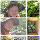 안말농장 이미지