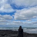땅땅치킨한림점 | 겨울 제주, part 7