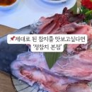 정 참치 이미지