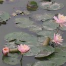 김복수농장 이미지