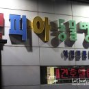 펫피아 동물병원 이미지