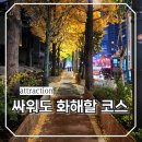 삼성생명 앞 노상 | 서울 시청역 덕수궁 근처 단풍명소 일상 데이트 산책하기좋은곳
