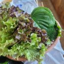 남지강변횟집 이미지