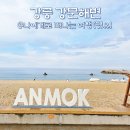 송정동 해안도로 | 강릉 안목해변 개장일, 강릉 카페거리 놀거리와 물놀이(ft. 주차)
