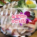 1477 | 암사동 맛집 날로먹는수산시장 고등어회 먹고 또간 후기