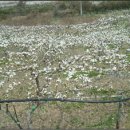 이영농장 이미지