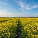 강정화장실 이미지