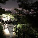 엘리트 태권도 이미지