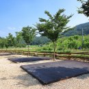 연산황산벌 오토캠핑장 티스토리