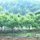 봉황공인중개사사무소 이미지