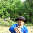 일봉농장 이미지