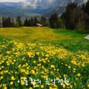 교향시 -화음 이미지