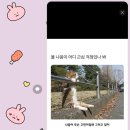 지아약국 이미지