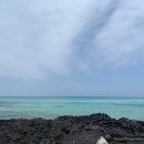 느릿느릿 김녕집 | 제주도 여행기 둘째날 -1 비자림, 김녕 성세기해변
