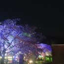 다산세천1 이미지