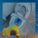 진화약품 | 분당 욕실막힘 진짜후기 야탑동 판교동 싱크대역류 진화된곳