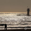 아침해변 이미지