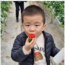 천마 태권도장 이미지