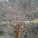 청송자연휴양림 이미지