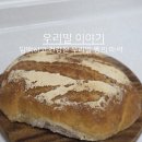 별량1 - 1296 | 순천 우리밀이야기 | 담백하고 건강한 별량빵집 솔직후기