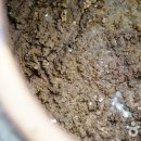 장익는 마을 이미지