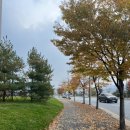 제천자동차운전전문학원 이미지