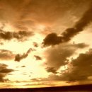 함께 꽃피우는 세상 이미지