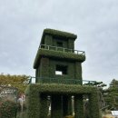 힐링랜드23 | 영암 기찬랜드 국화축제 월출산 국화축제 첫날 방문후기