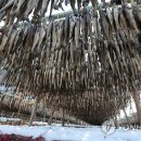 울타리영농조합법인 이미지