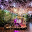 송원일식 이미지