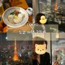 한국더마힐스 | 도쿄 여행 2일차 | 롯폰기 우동·소바 맛집 + 롯폰기 힐스 전망대 야경 후기