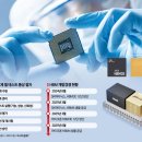 탄탄대로 이미지