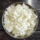 돌담식당