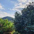 마하공인중개사사무소 이미지