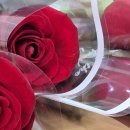 성인문해교육 학력인정과정 | 거창한홍보기자단/ 제10회 거창군 성인문해 학력인정 프로그램 졸업식